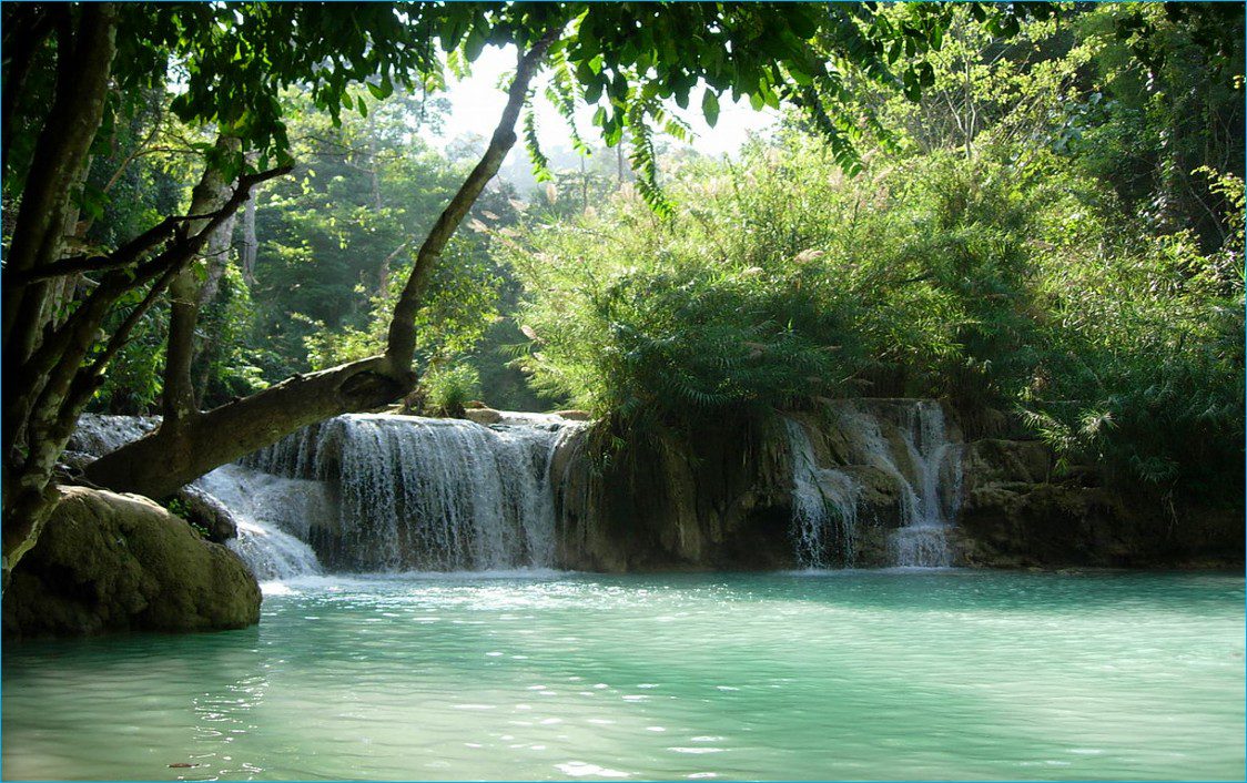 A serene waterfall flowing into a turquoise pool surrounded by lush greenery.